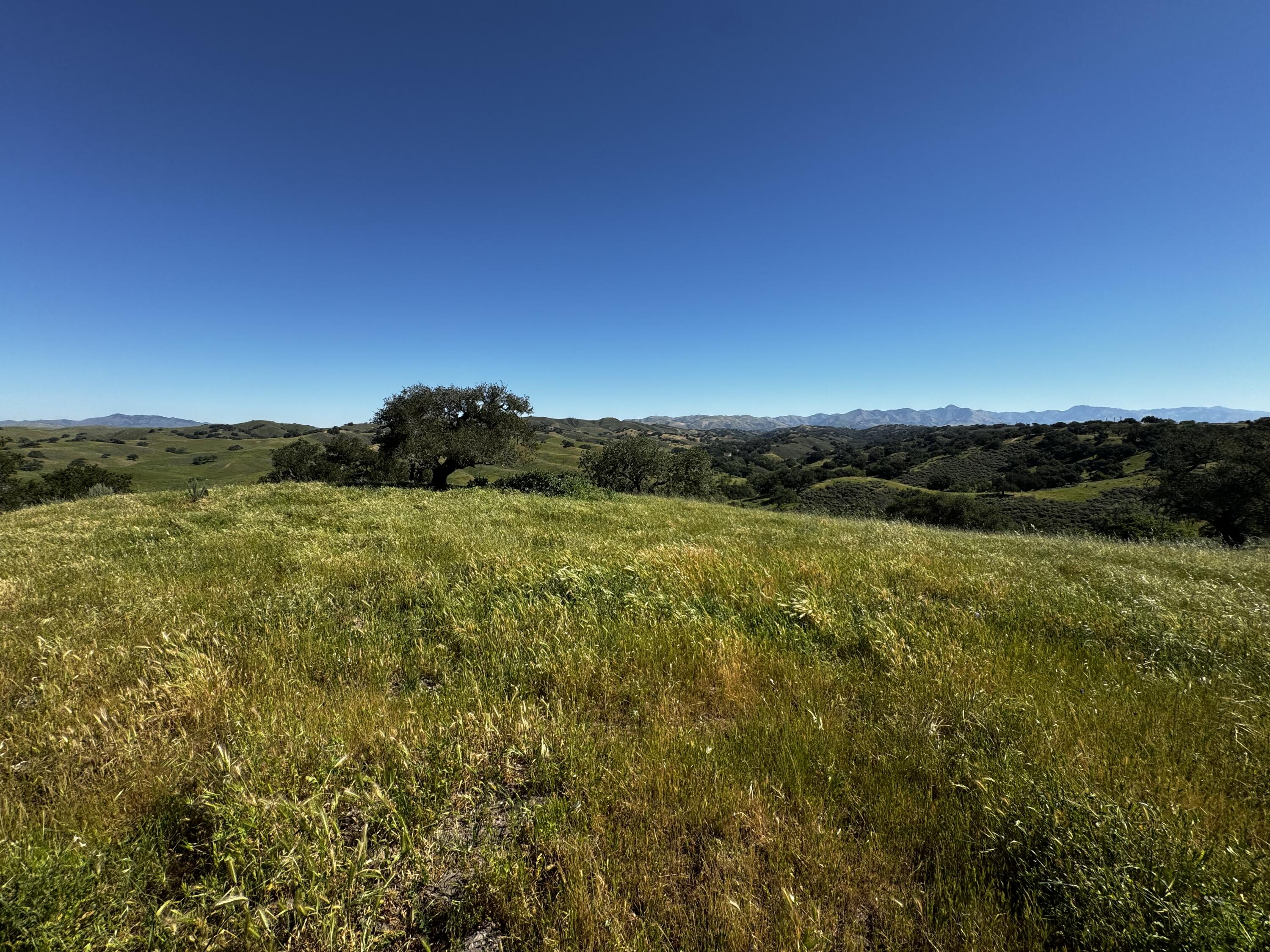 0 Alisos Canyon Road Los Alamos, CA 93440 - Photo 20 of 102 IMG_3658