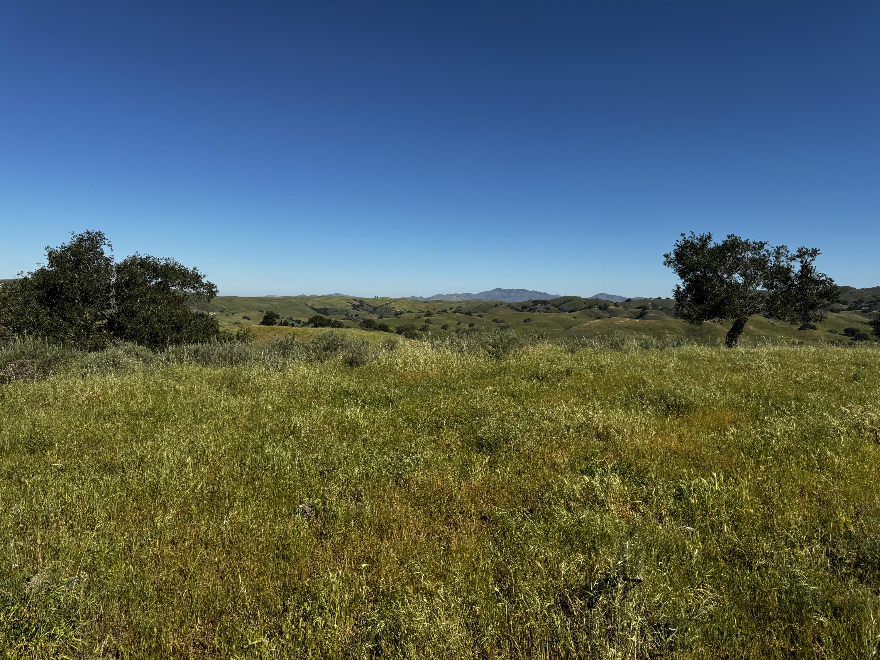 0 Alisos Canyon Road Los Alamos, CA 93440 - Photo 27 of 102 a view of a large yard with an outdoor space and seating