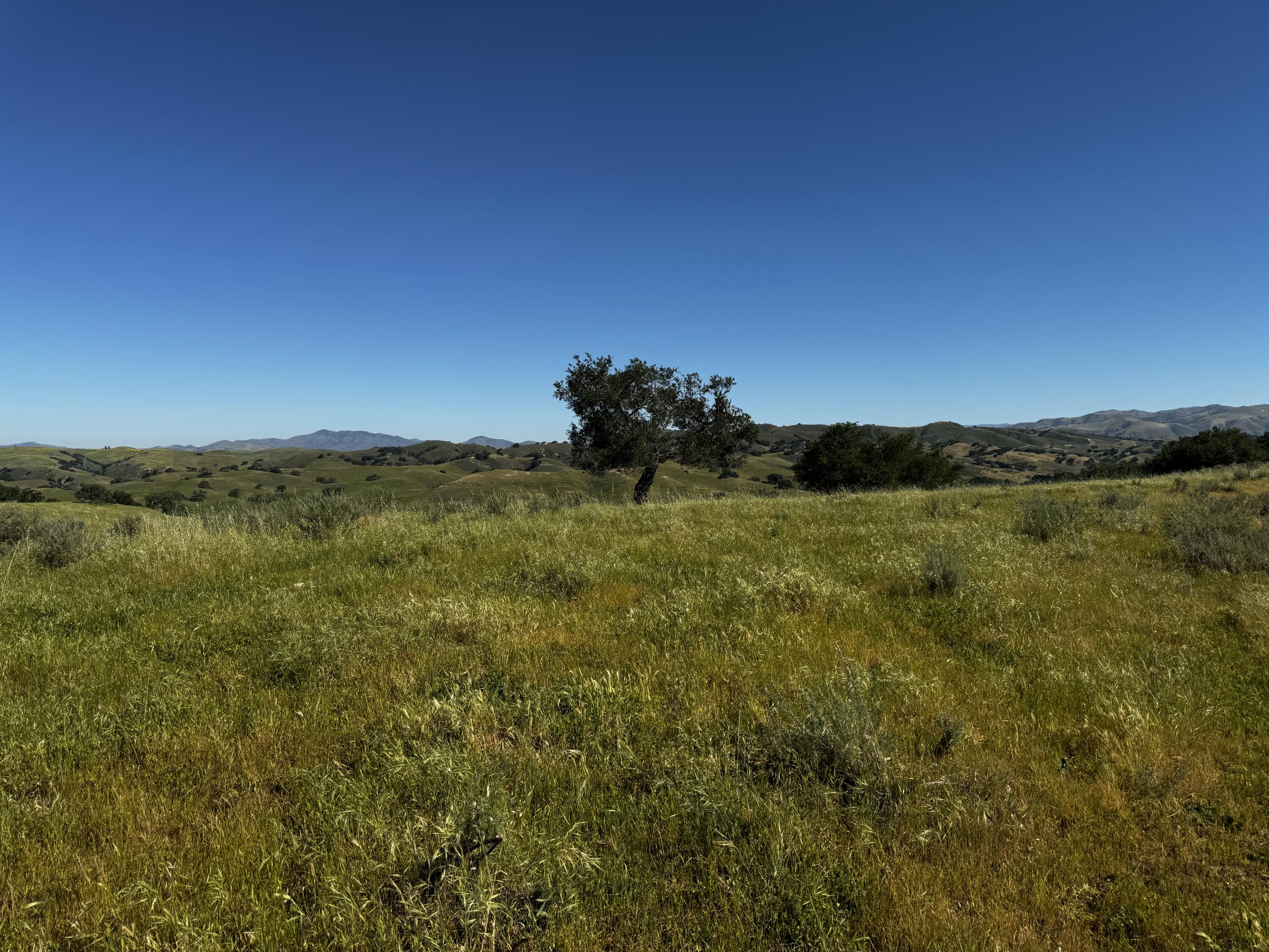 0 Alisos Canyon Road Los Alamos, CA 93440 - Photo 28 of 102 a view of a lake with a mountain in the background