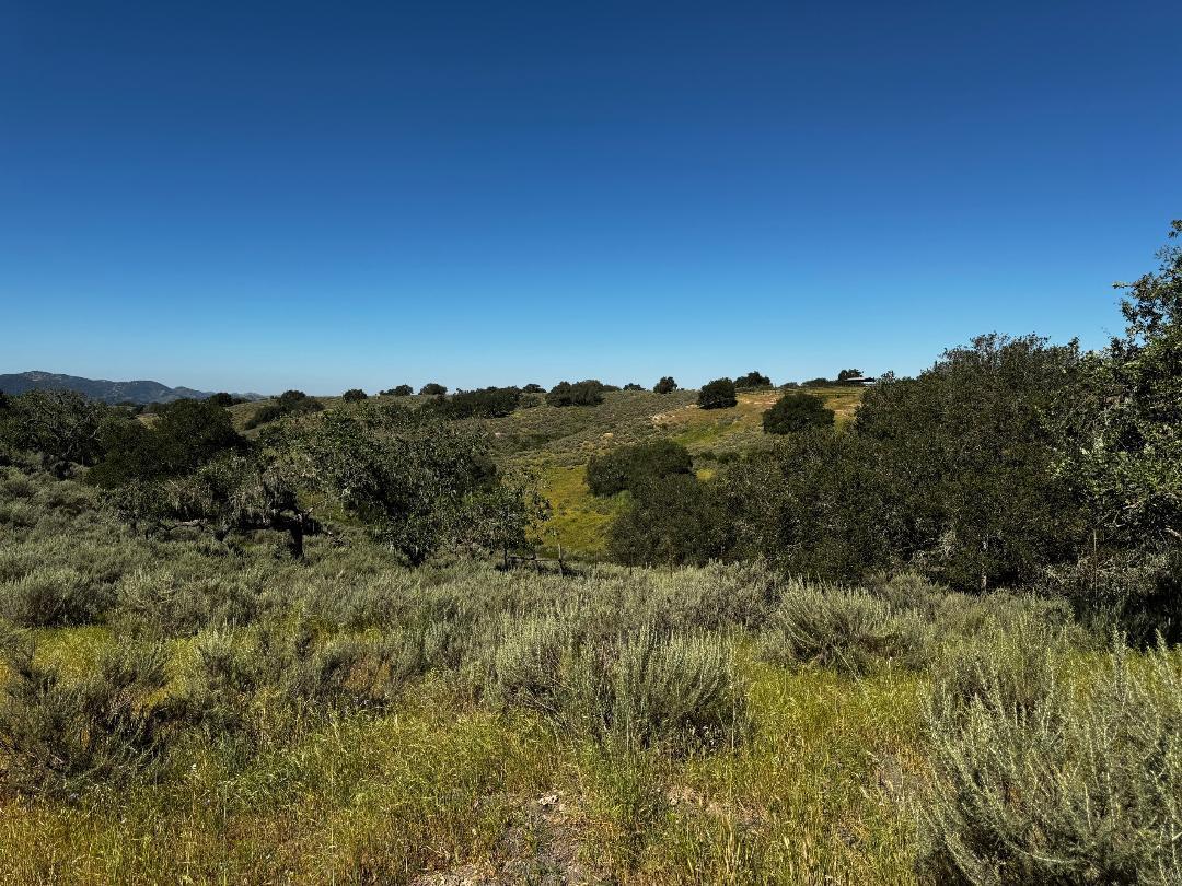 0 Alisos Canyon Road Los Alamos, CA 93440 - Photo 30 of 102 a view of a mountain
