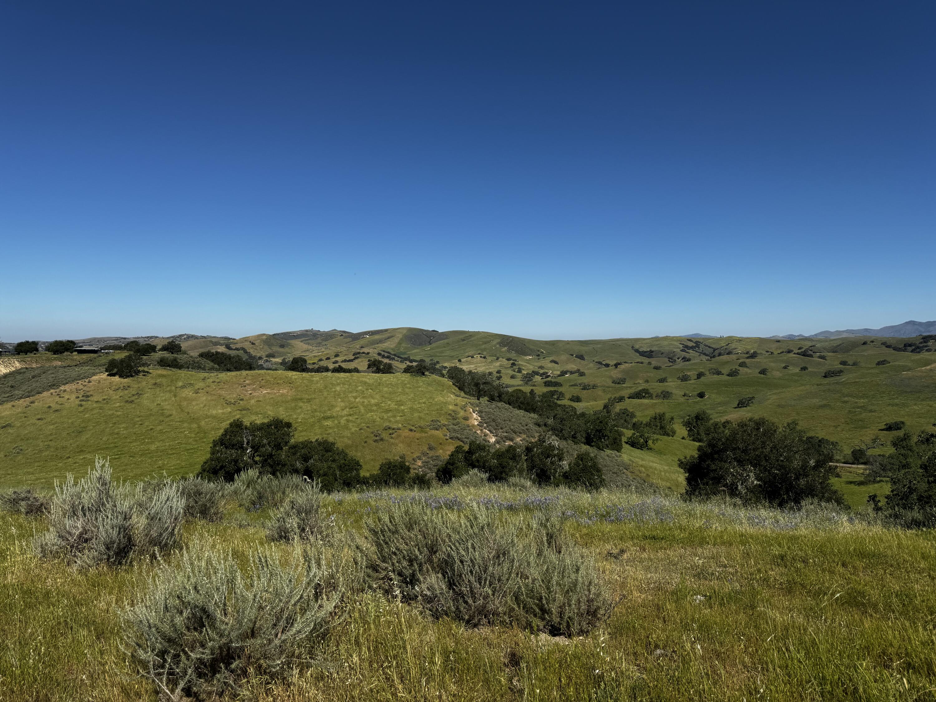 0 Alisos Canyon Road Los Alamos, CA 93440 - Photo 33 of 102 IMG_3610