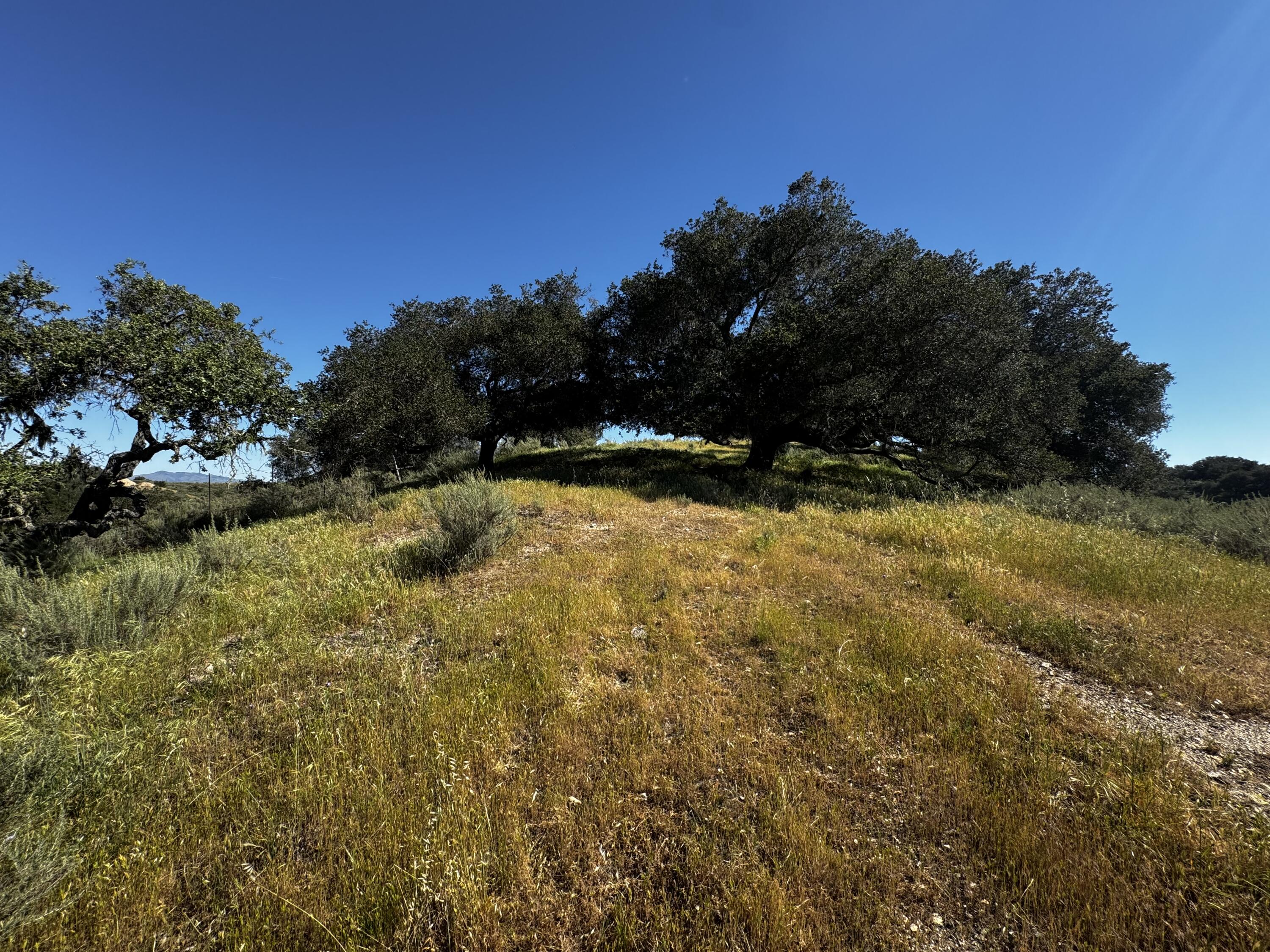 0 Alisos Canyon Road Los Alamos, CA 93440 - Photo 34 of 102 a view of swimming pool with an outdoor space and seating area