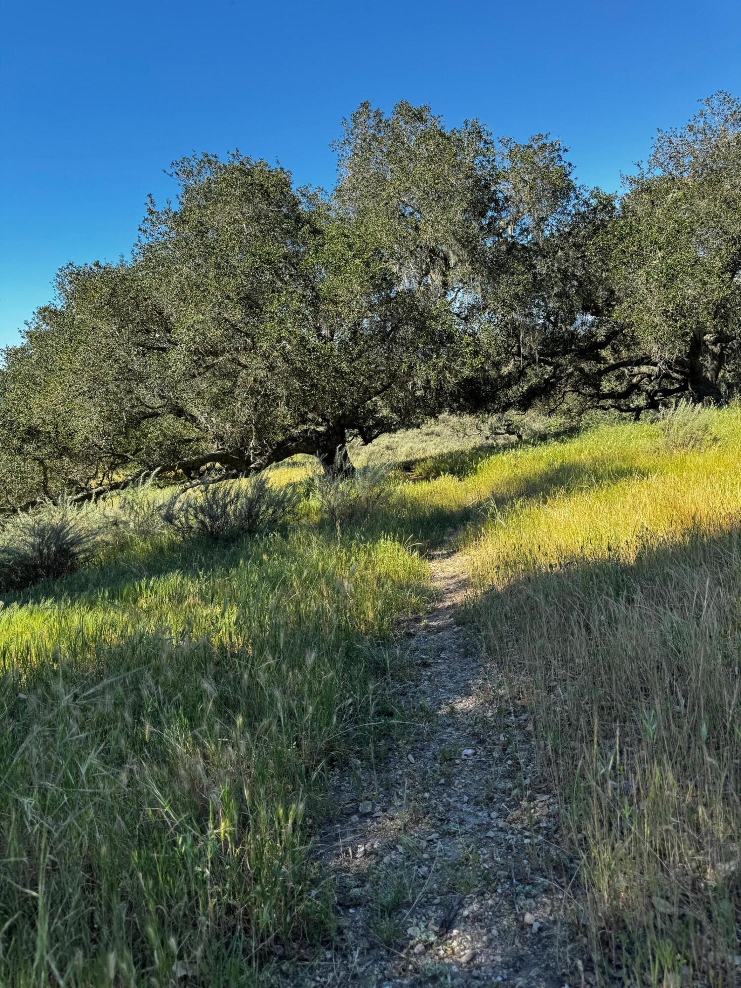 0 Alisos Canyon Road Los Alamos, CA 93440 - Photo 35 of 102 IMG_3630