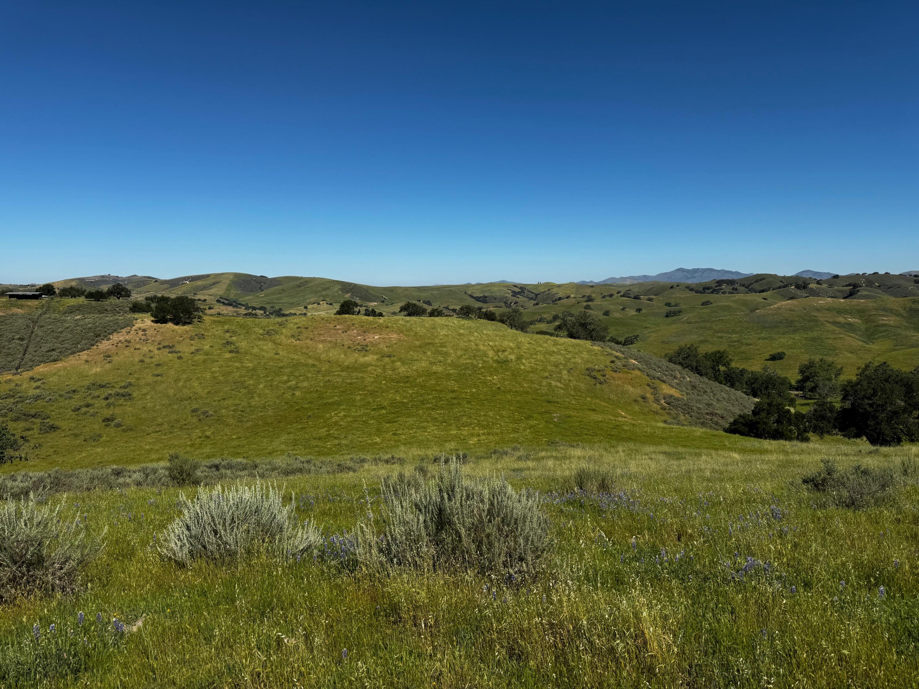 0 Alisos Canyon Road Los Alamos, CA 93440 - Photo 39 of 102 IMG_3646