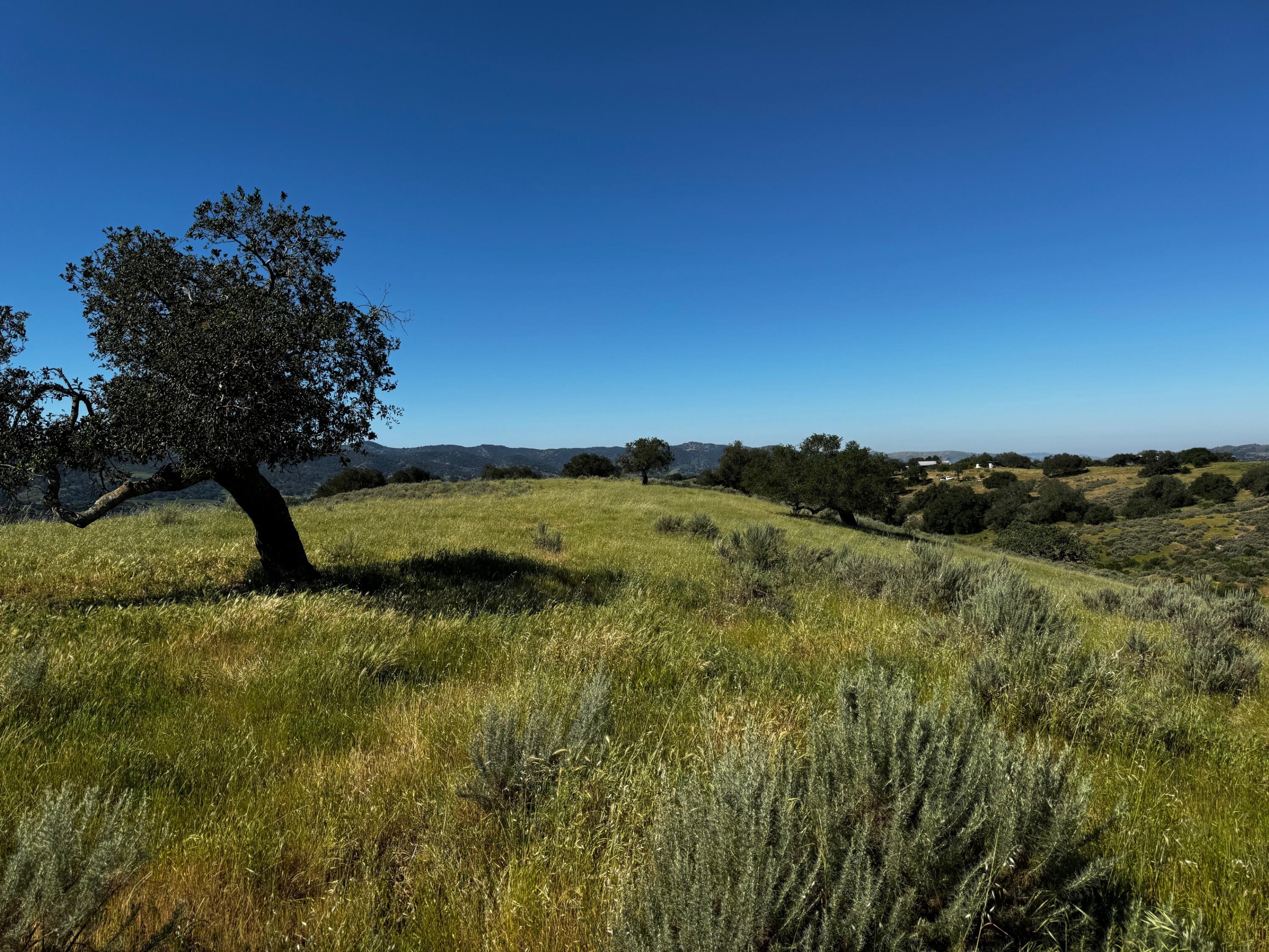 0 Alisos Canyon Road Los Alamos, CA 93440 - Photo 43 of 102 IMG_3612