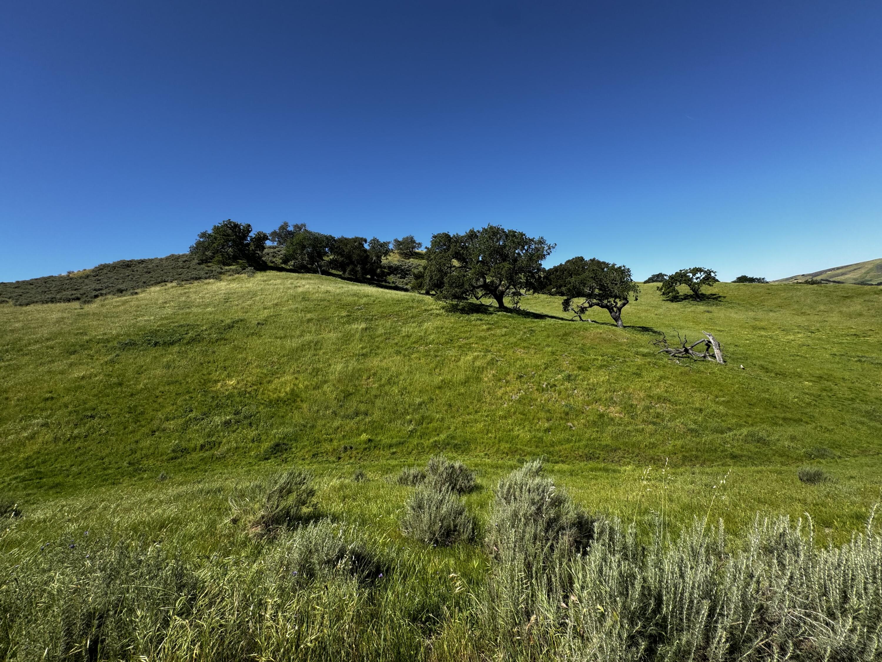 0 Alisos Canyon Road Los Alamos, CA 93440 - Photo 49 of 102 a view of a large body of water with a large tree