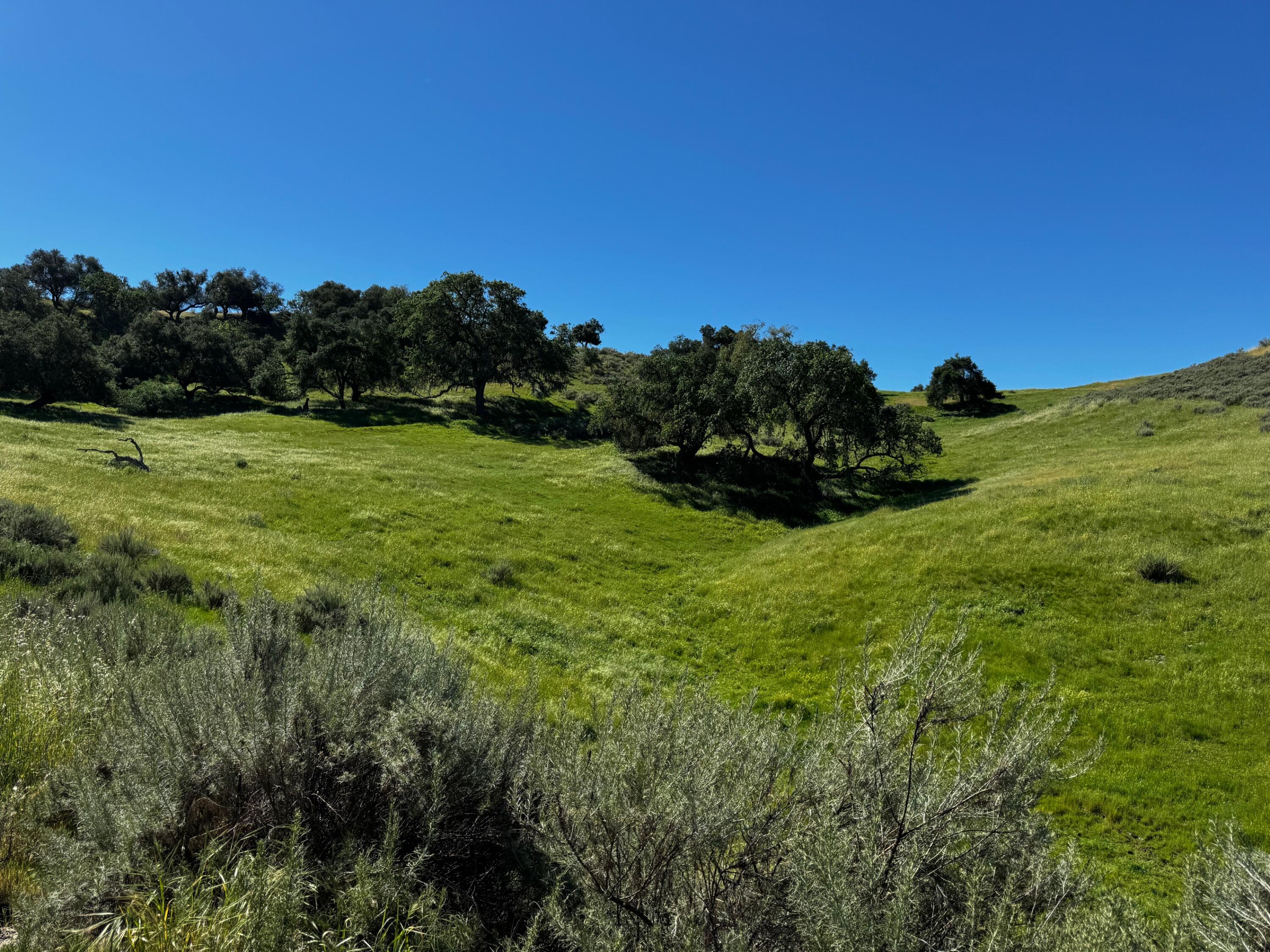 0 Alisos Canyon Road Los Alamos, CA 93440 - Photo 50 of 102 IMG_3697