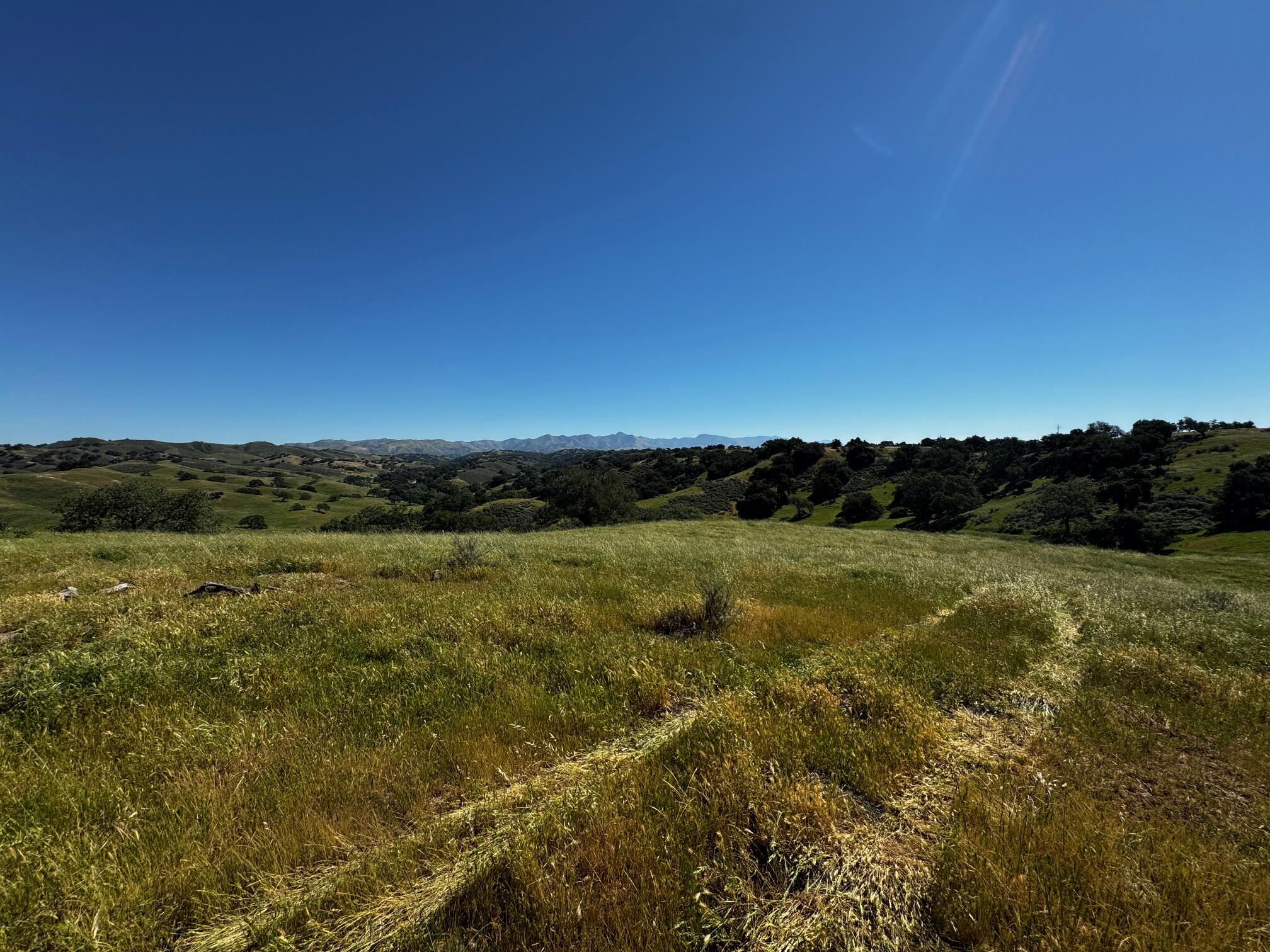 0 Alisos Canyon Road Los Alamos, CA 93440 - Photo 6 of 102 a view of lake with lots of trees
