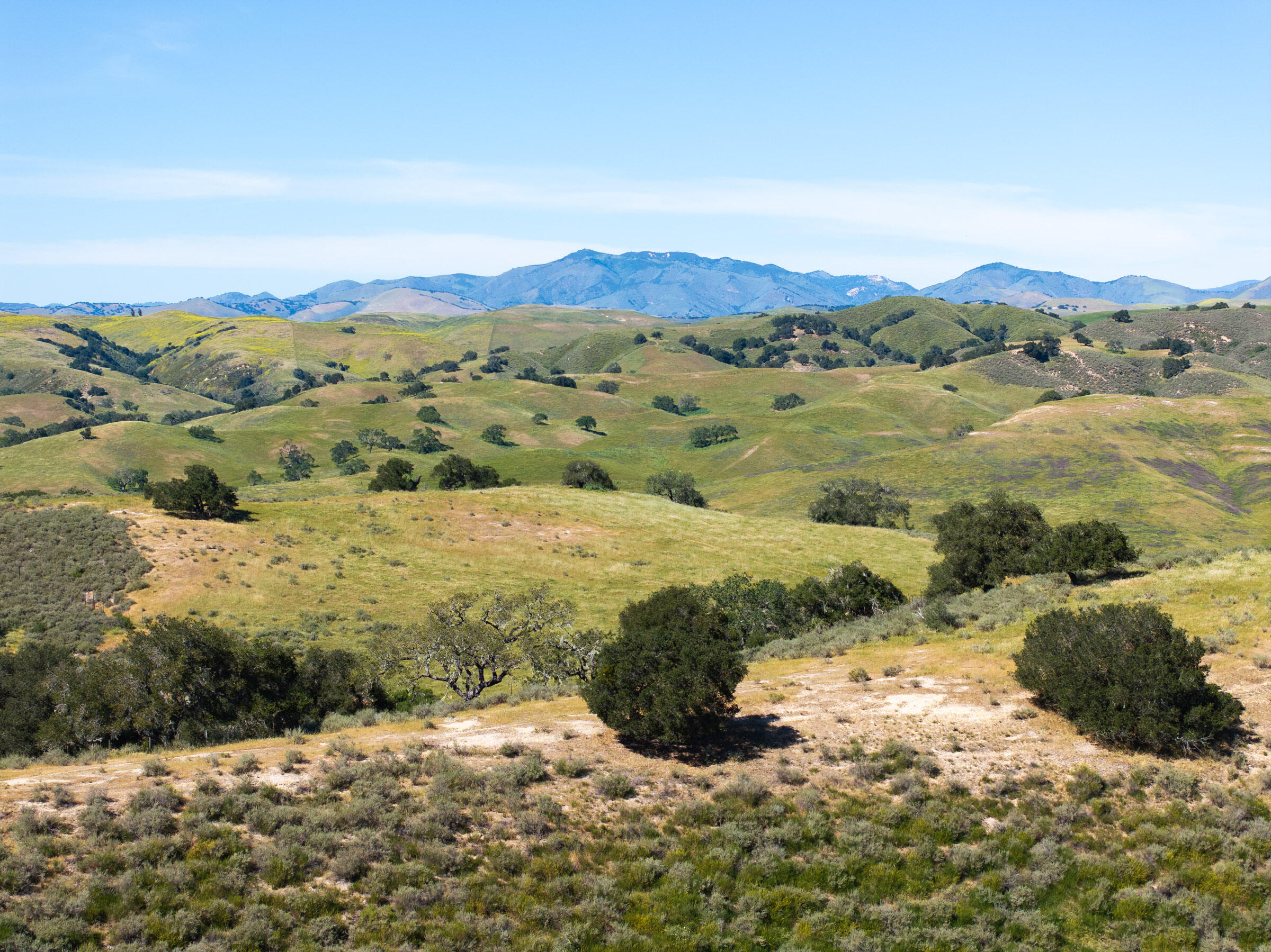 0 Alisos Canyon Road Los Alamos, CA 93440 - Photo 62 of 102 Alisos Canyon_0049