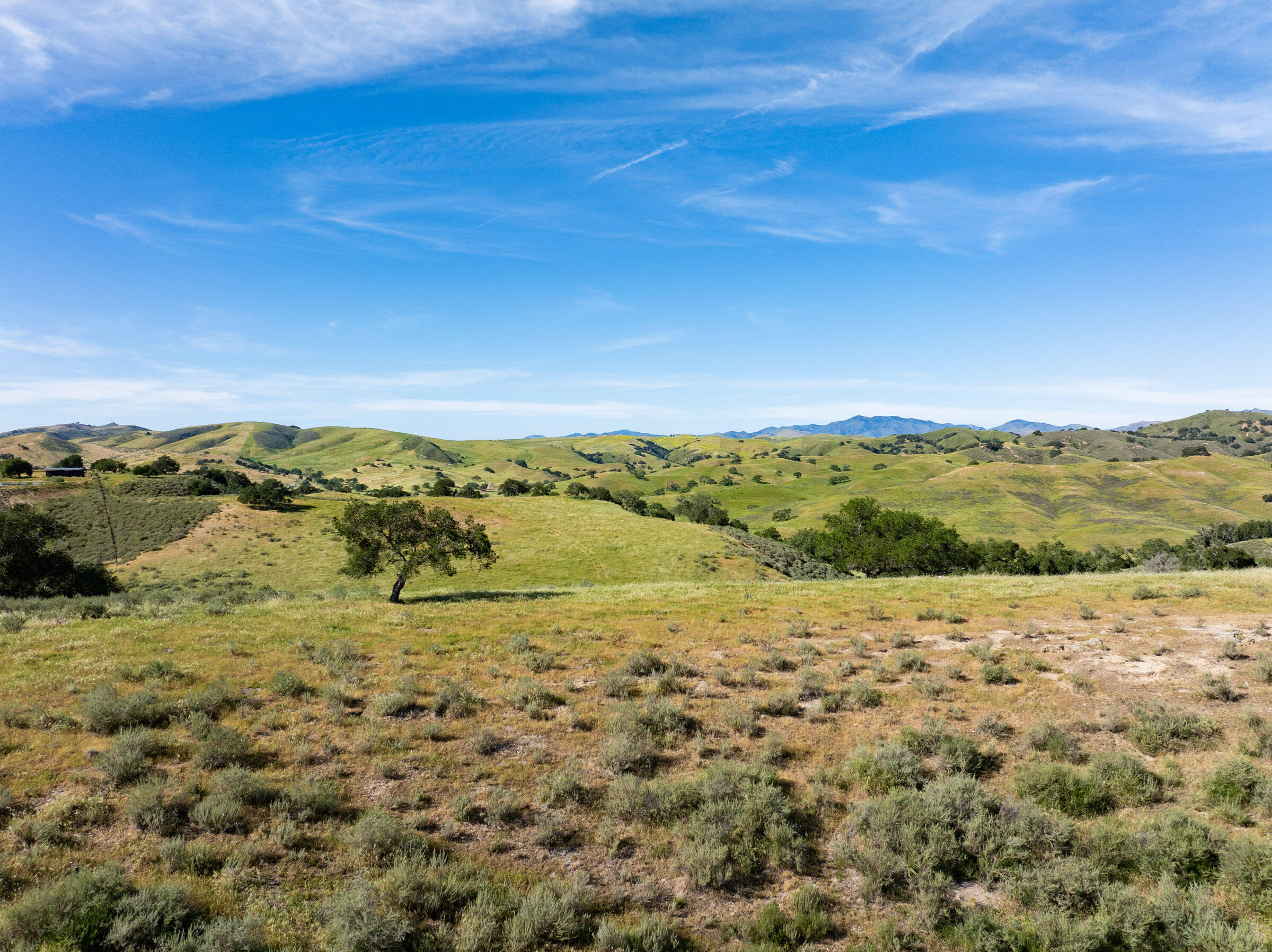 0 Alisos Canyon Road Los Alamos, CA 93440 - Photo 68 of 102 Alisos Canyon_0007