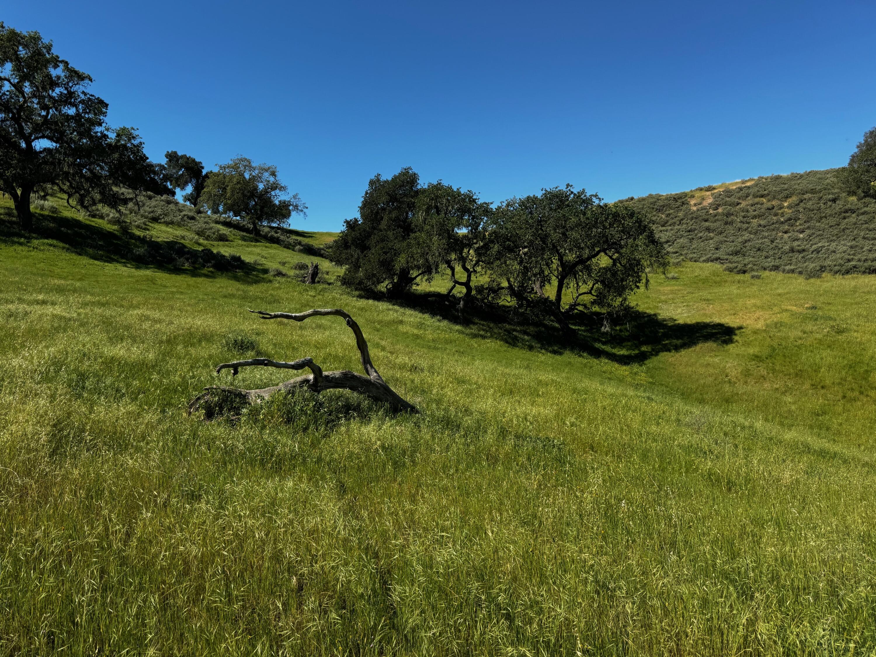 0 Alisos Canyon Road Los Alamos, CA 93440 - Photo 7 of 102 IMG_3695