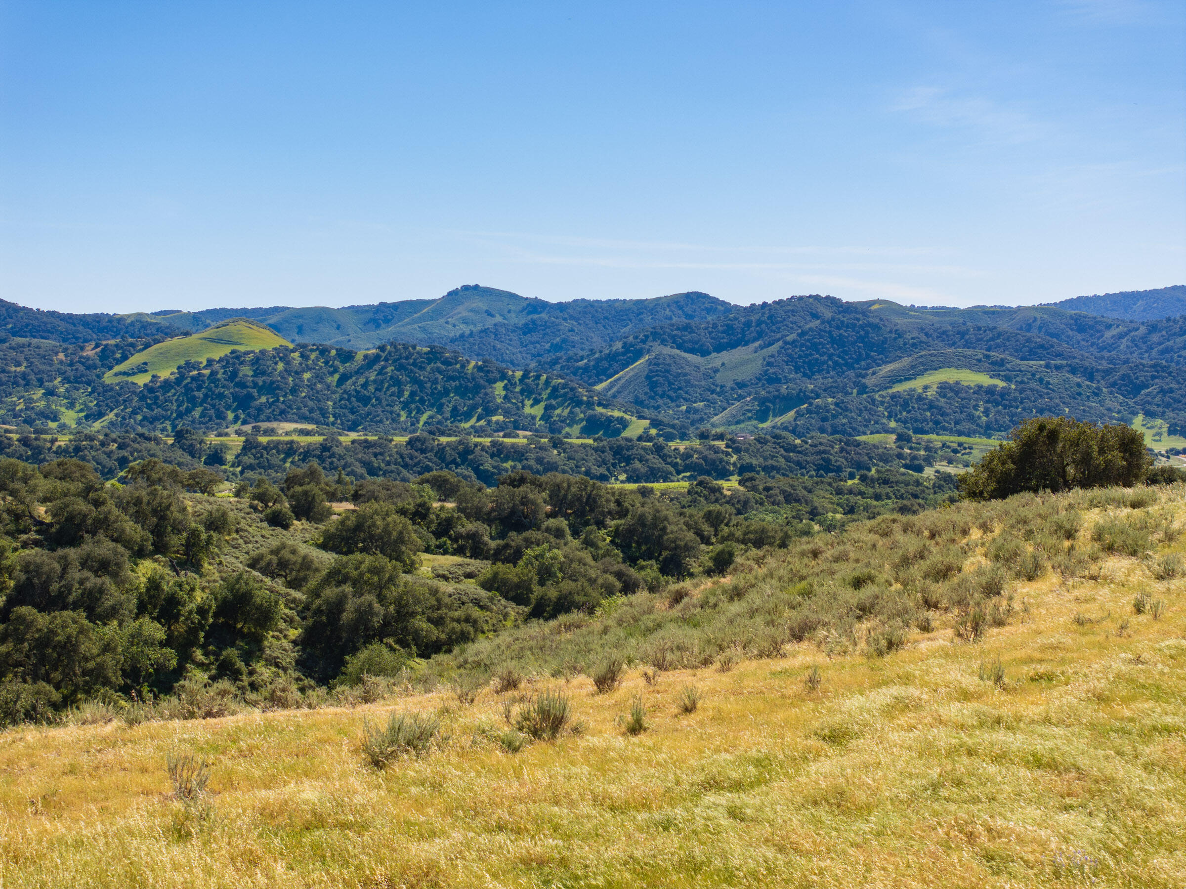 0 Alisos Canyon Road Los Alamos, CA 93440 - Photo 86 of 102 Alisos Canyon_0038