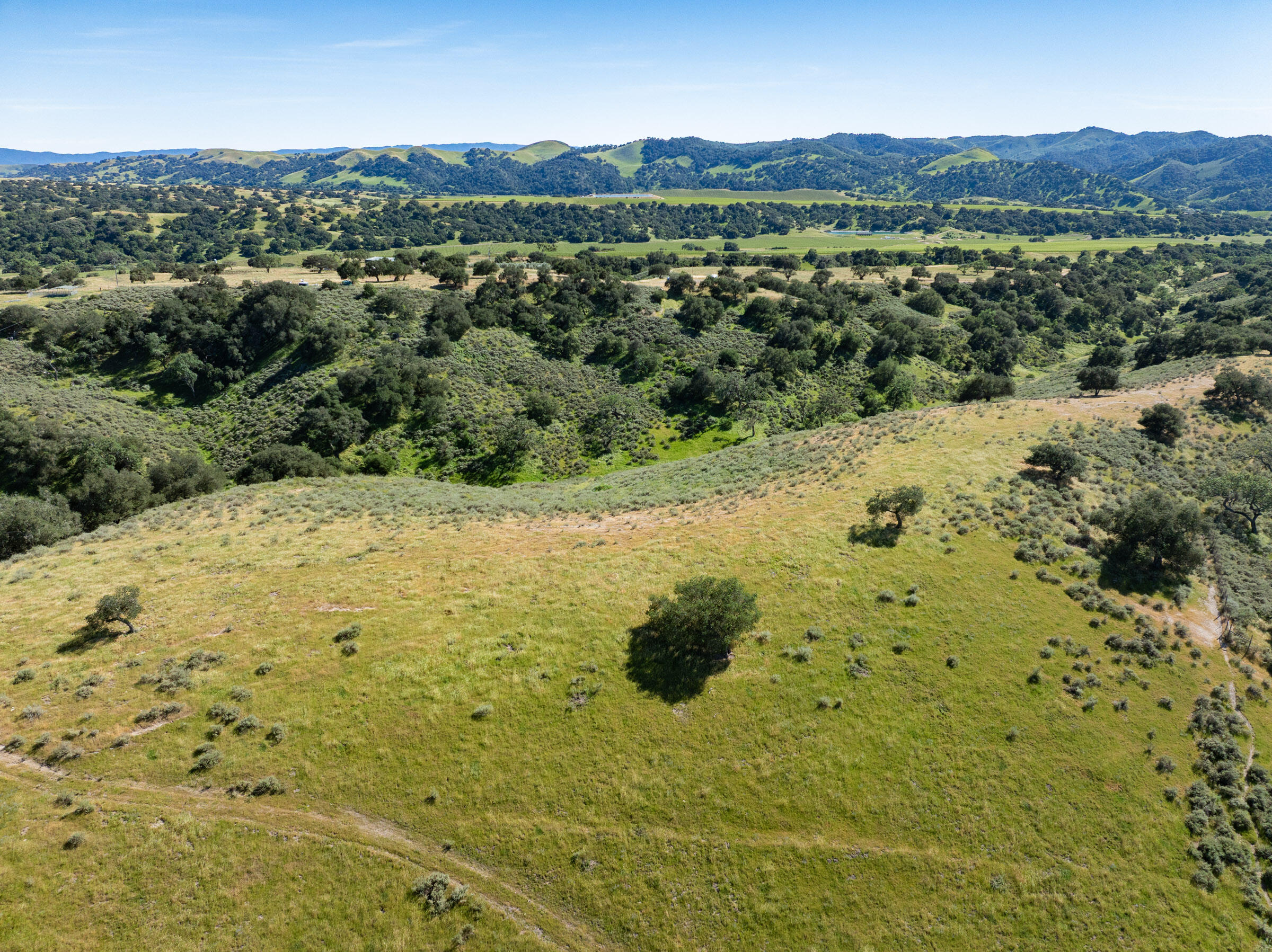 0 Alisos Canyon Road Los Alamos, CA 93440 - Photo 90 of 102 Alisos Canyon_0030