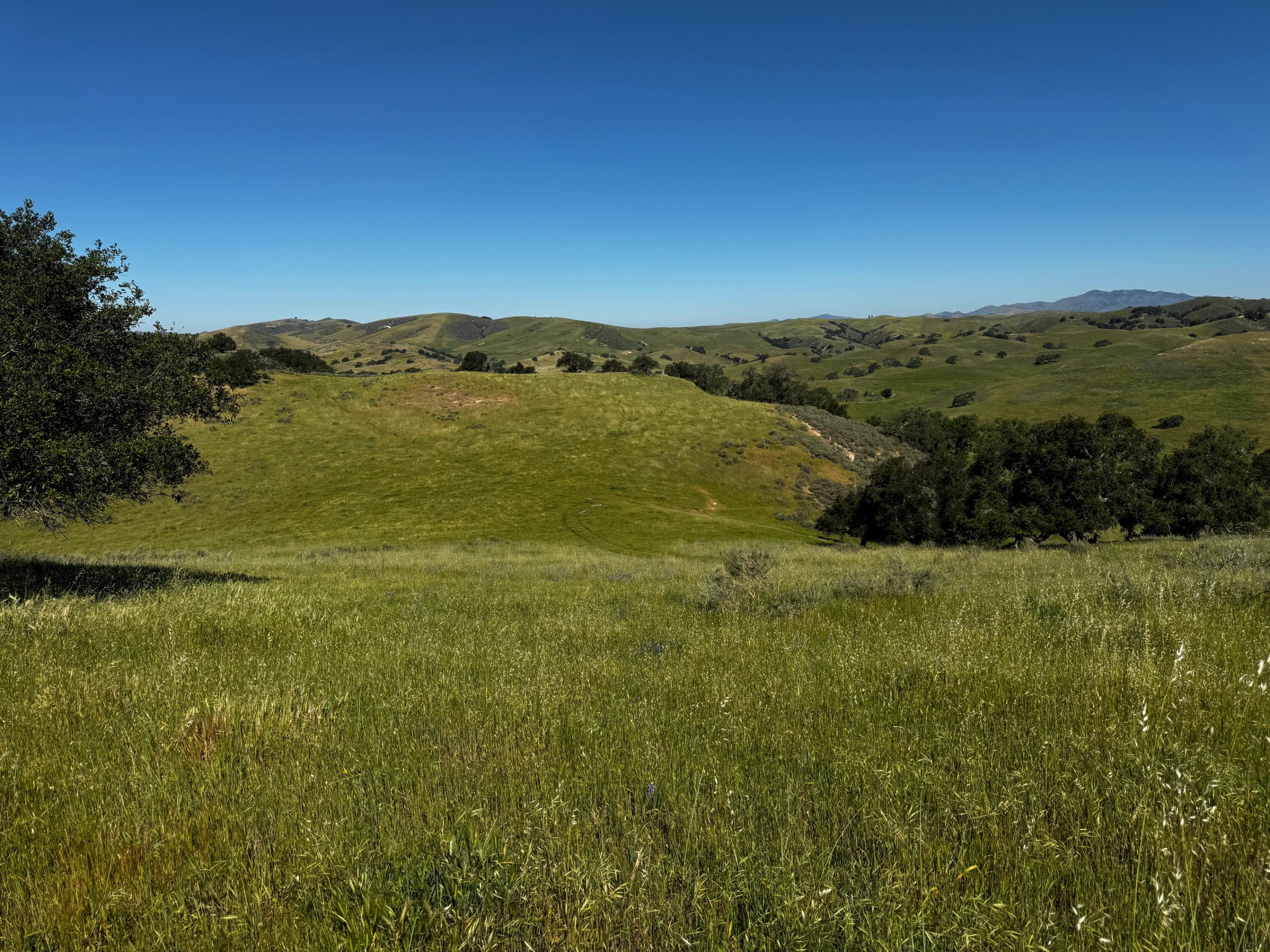 0 Alisos Canyon Road Los Alamos, CA 93440 - Photo 9 of 102 a view of a field with an ocean