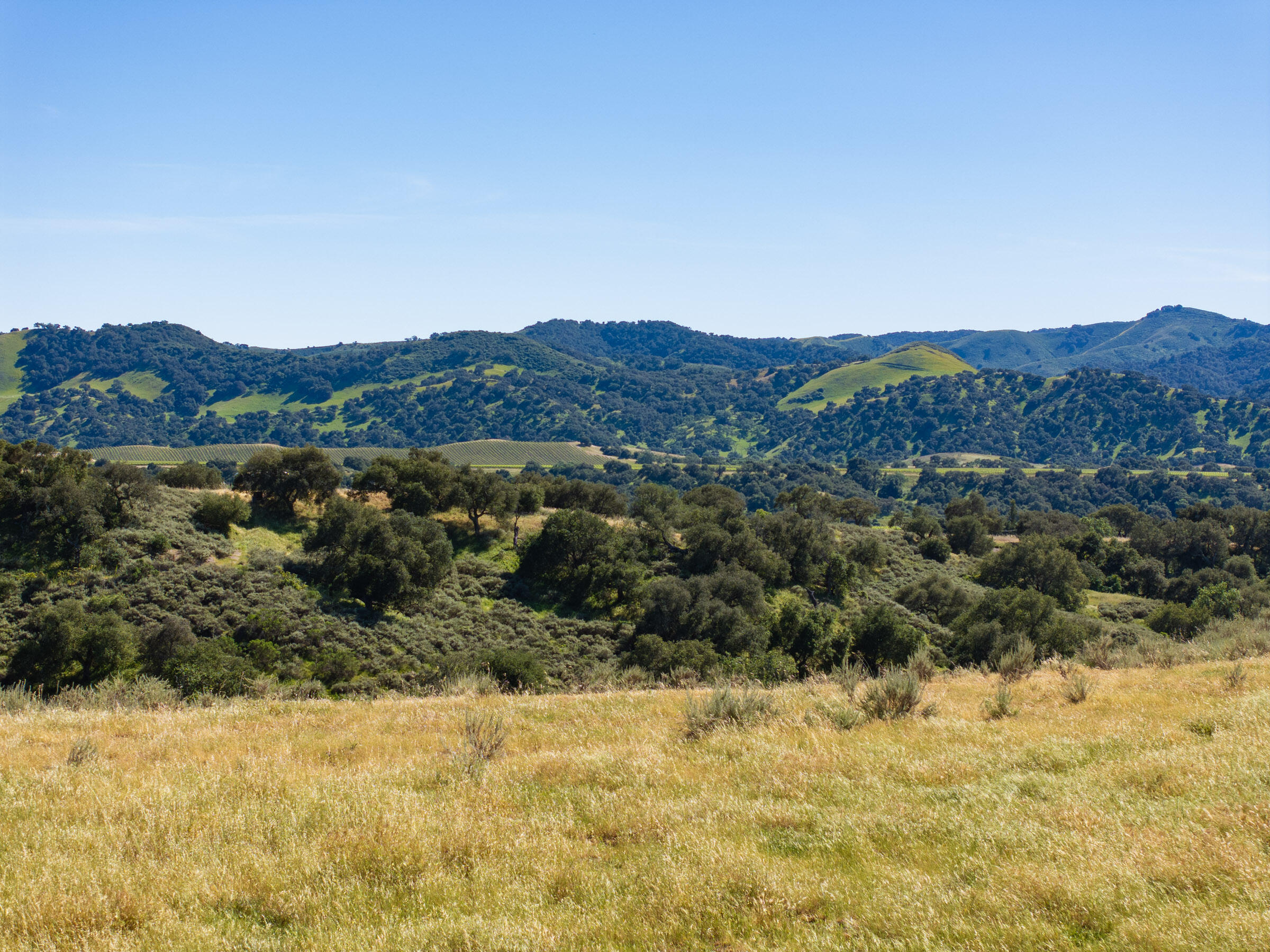 0 Alisos Canyon Road Los Alamos, CA 93440 - Photo 98 of 102 Alisos Canyon_0039