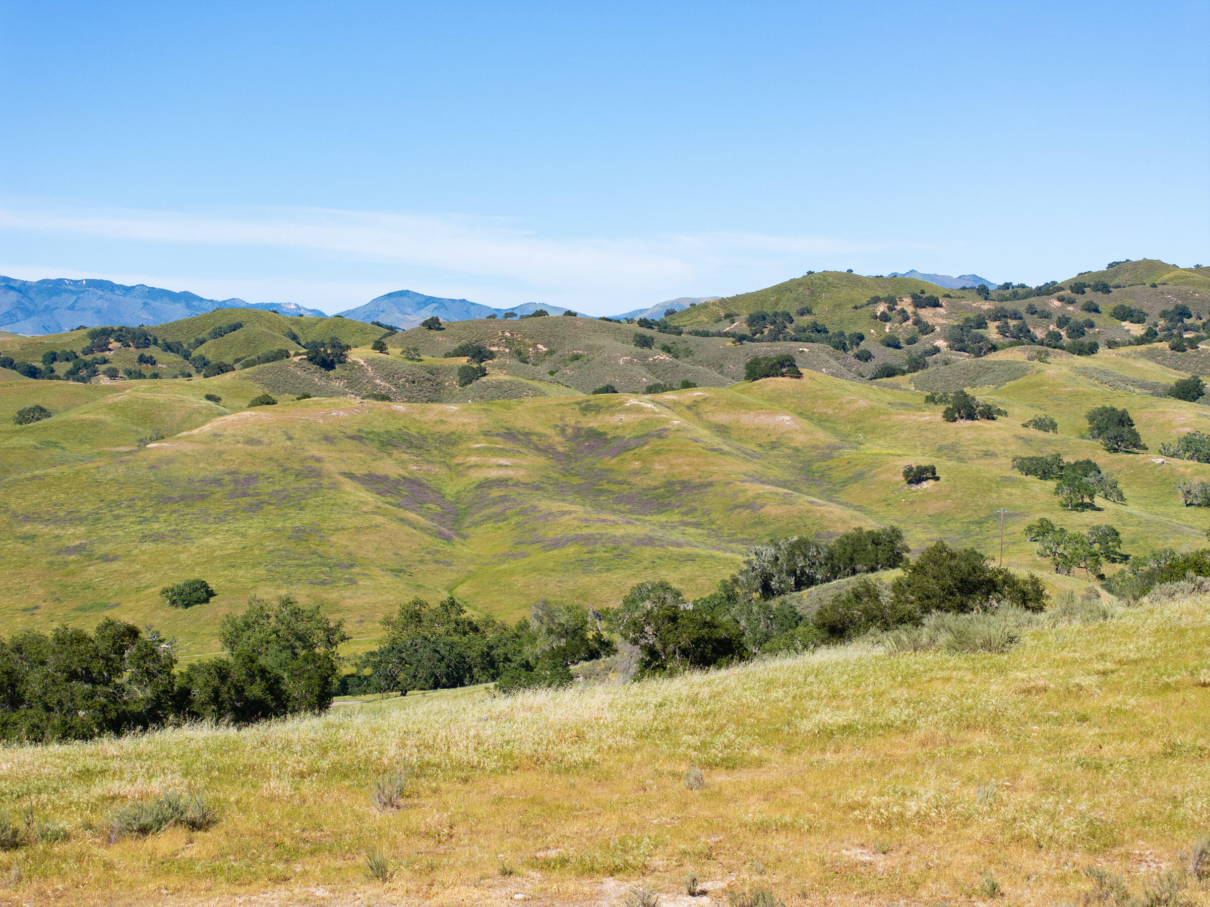 0 Alisos Canyon Road Los Alamos, CA 93440 - Photo 100 of 102 Alisos Canyon_0040