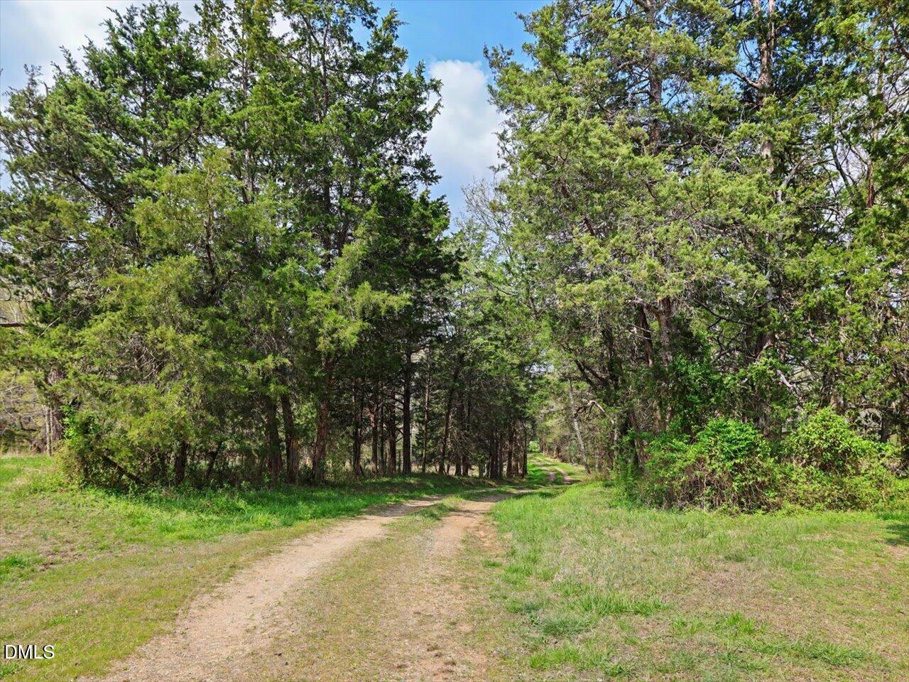 7793 Ridgeville Road Leasburg, NC 27291 - Photo 19 of 91