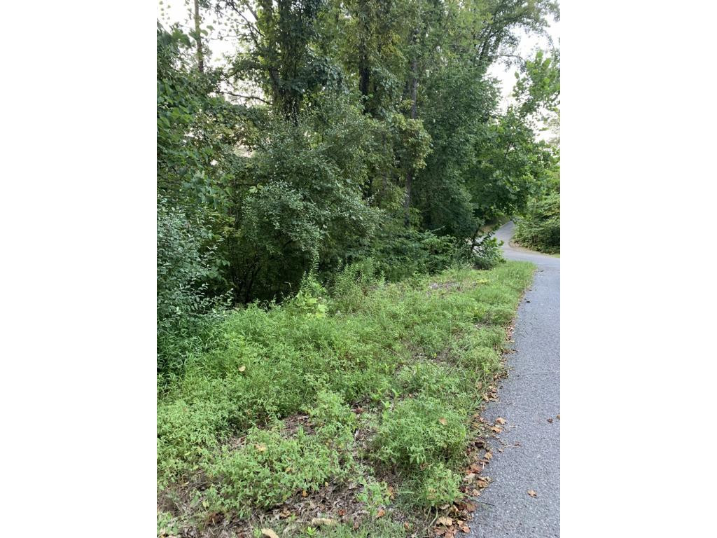 0 Log Cabin Road Johnson City, TN 37615 - Photo 8 of 10 Photo 8
