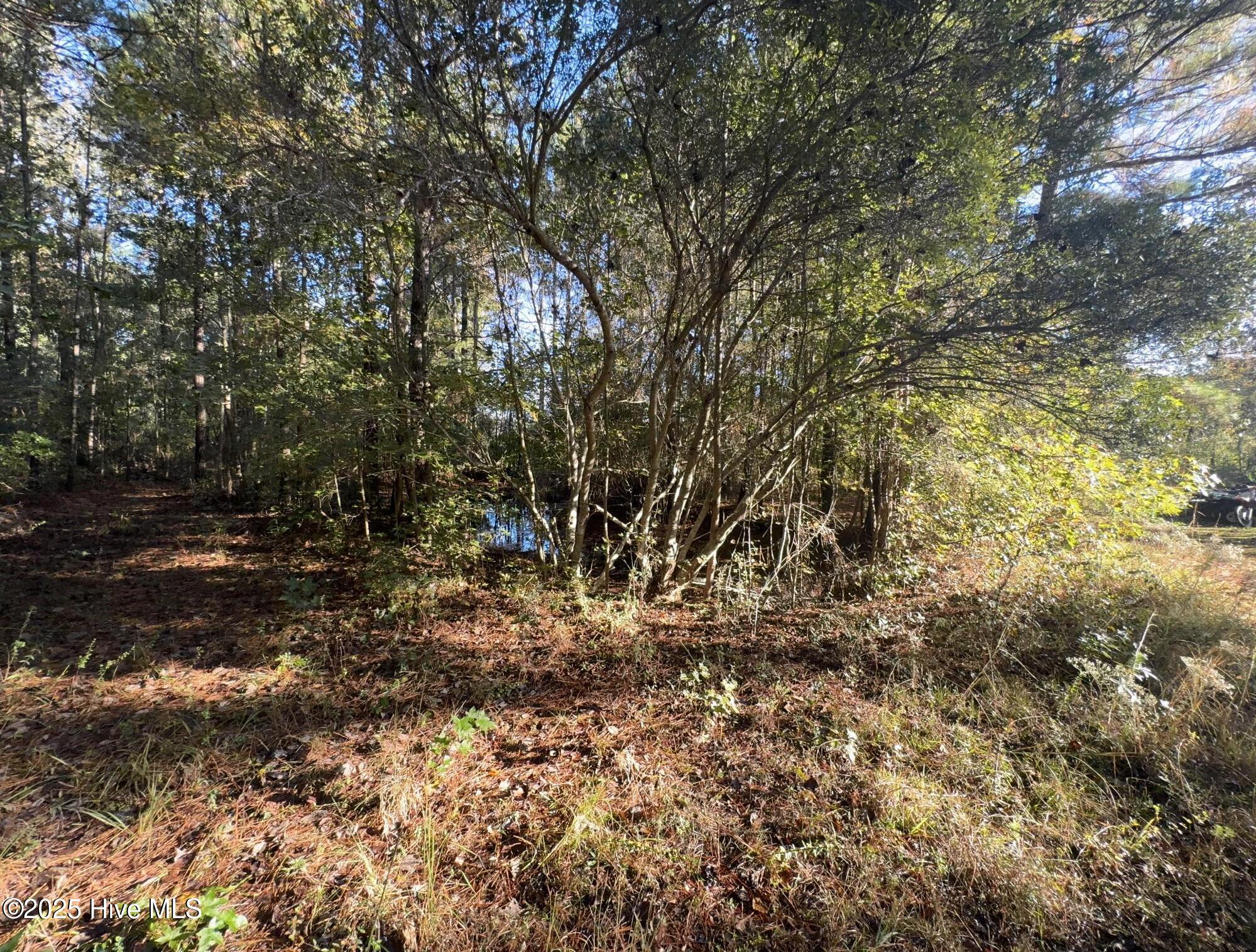 7620 Malpass Corner Road Currie, NC 28435 - Photo 7 of 8 backyard#3
