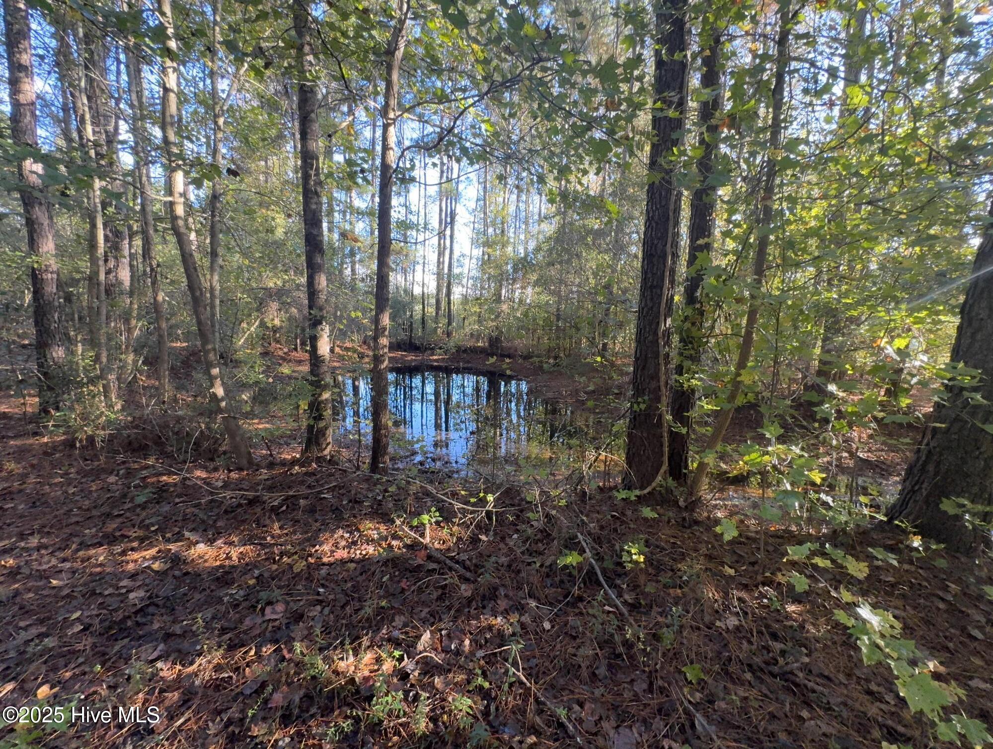 7620 Malpass Corner Road Currie, NC 28435 - Photo 8 of 8 pond