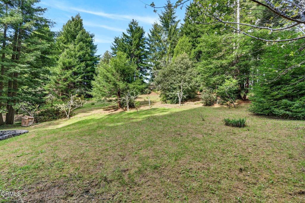 2900 Cameron Road Elk, CA 95432 - Photo 37 of 37 49-web-or-mls-ClearShotCreastions-00227