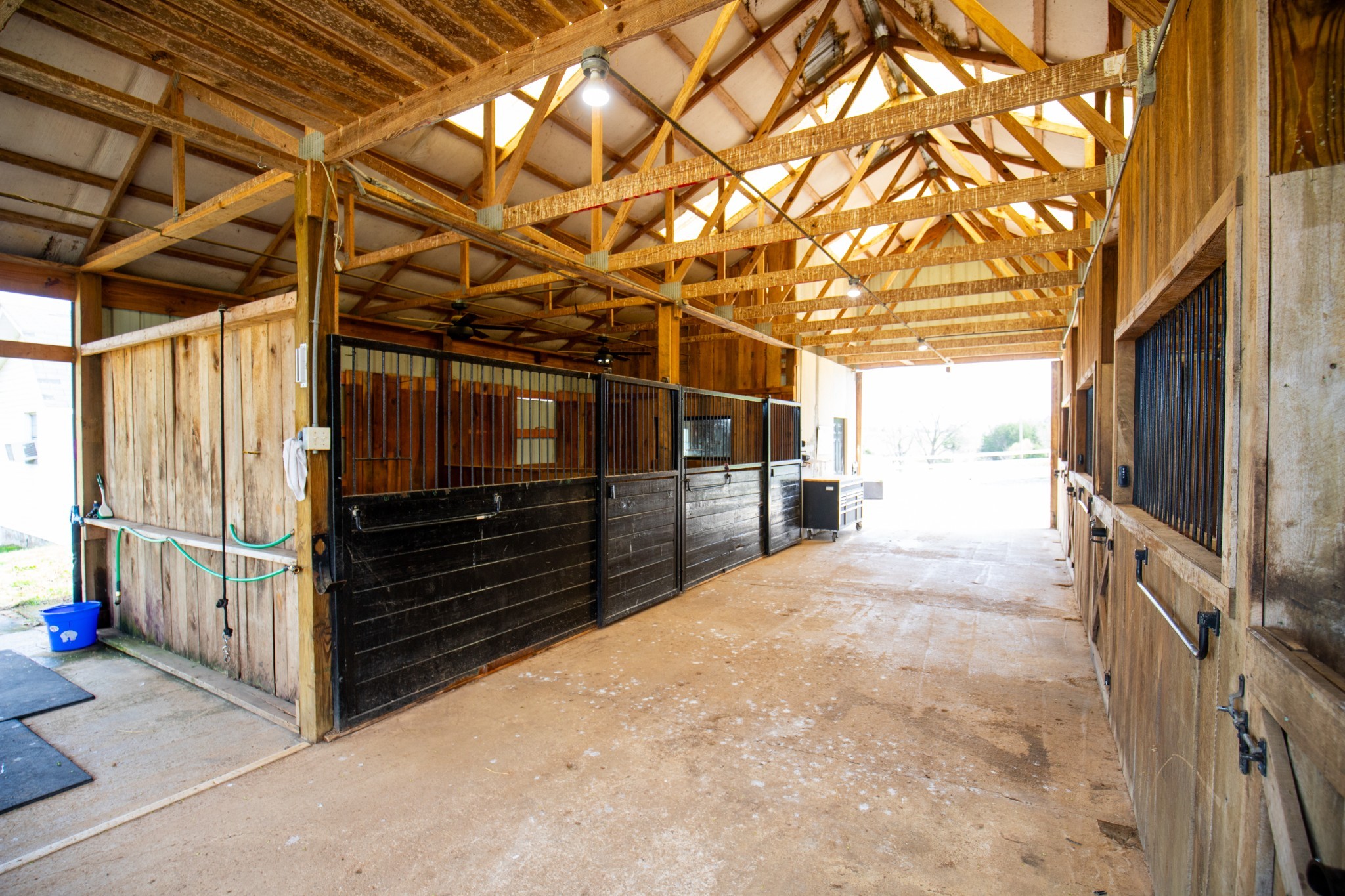 501 Burnt Hill Road Unionville, TN 37180 - Photo 19 of 57