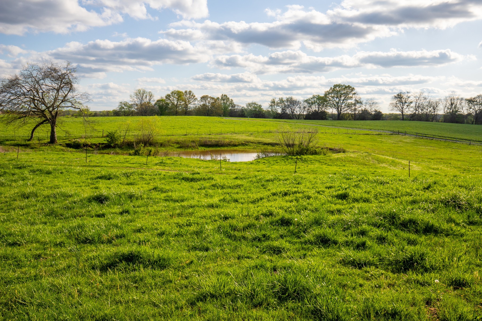 501 Burnt Hill Road Unionville, TN 37180 - Photo 50 of 57