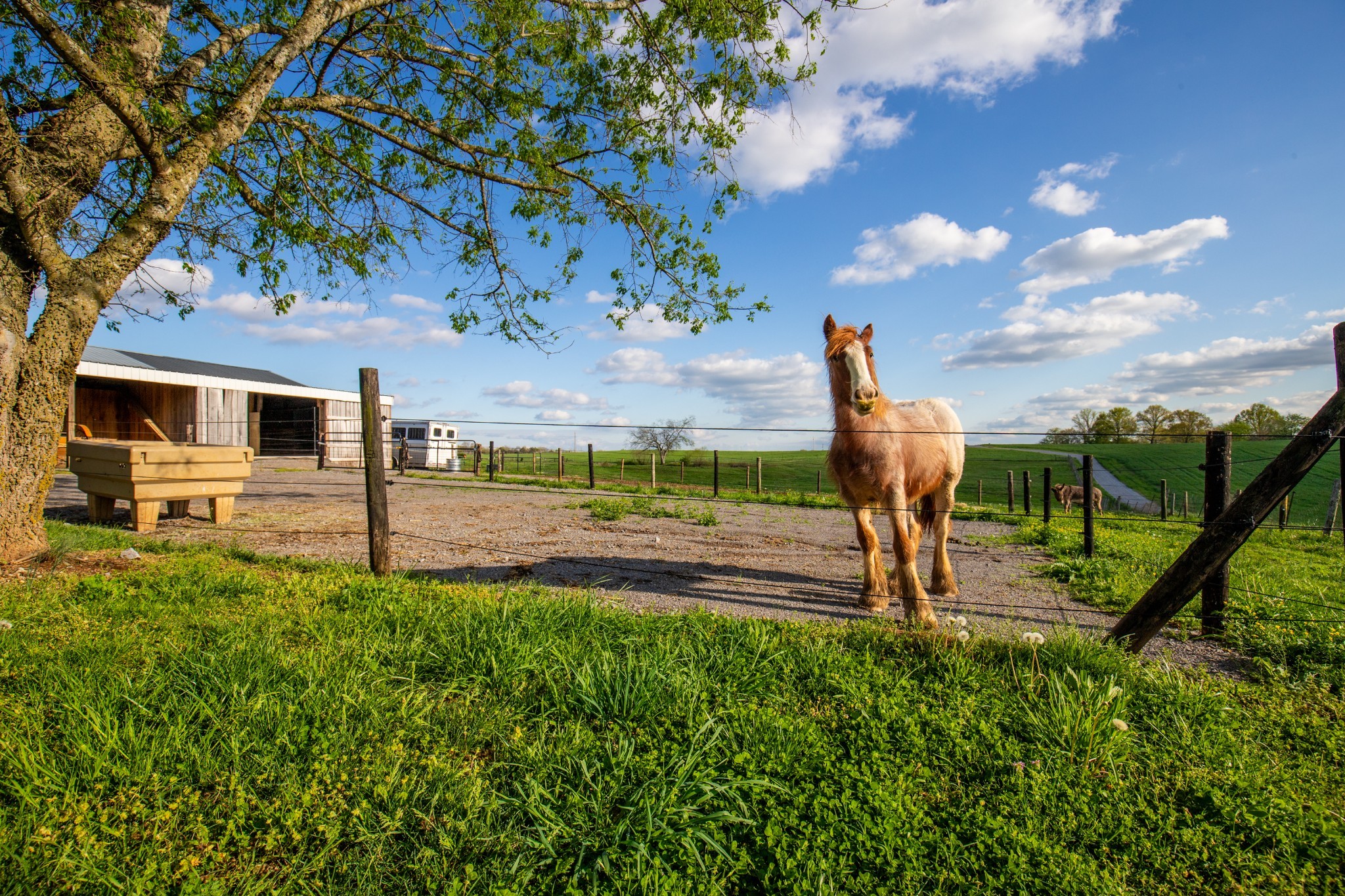 501 Burnt Hill Road Unionville, TN 37180 - Photo 55 of 57