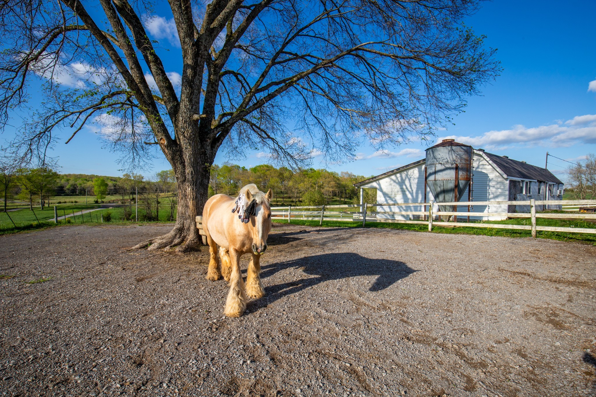 501 Burnt Hill Road Unionville, TN 37180 - Photo 56 of 57