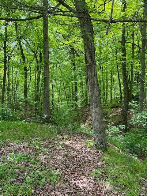 73350 Brooks Martin Road McArthur, OH 45651 - Photo 25 of 40 IMG_7720