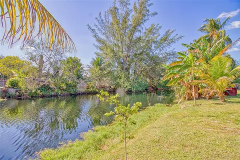 a view of a yard with plants and large trees