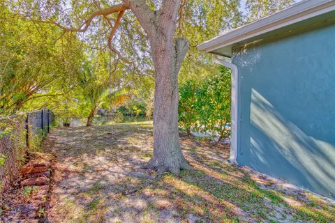 a view of a house with backyard and a tree