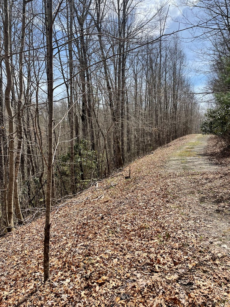 0 Hidden Lakes Road Topton, NC 28781 - Photo 9 of 14