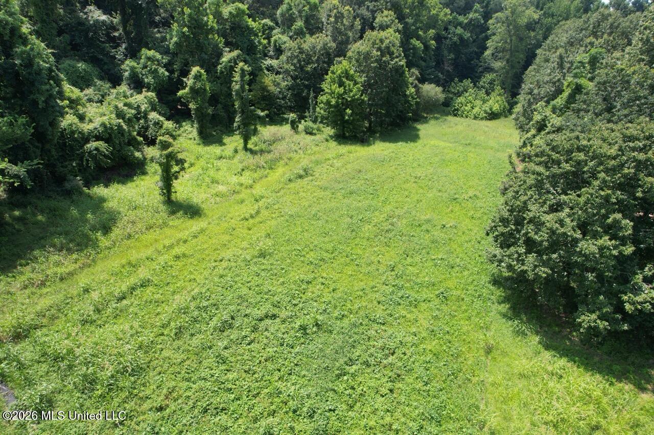 Annas Bottom Road Natchez, MS 39120 - Photo 17 of 48 DJI_0442 Large
