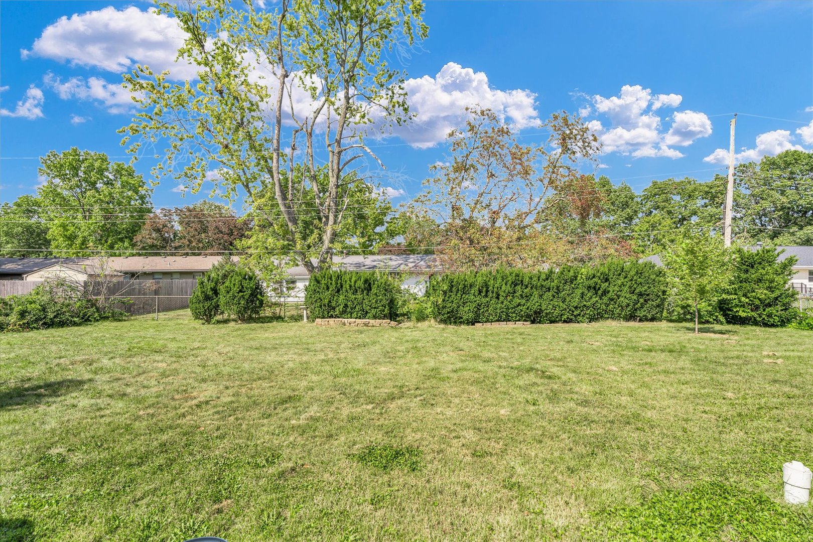 1110 Silver Street Urbana, IL 61801 - Photo 32 of 40 a view of a big yard with plants and large trees