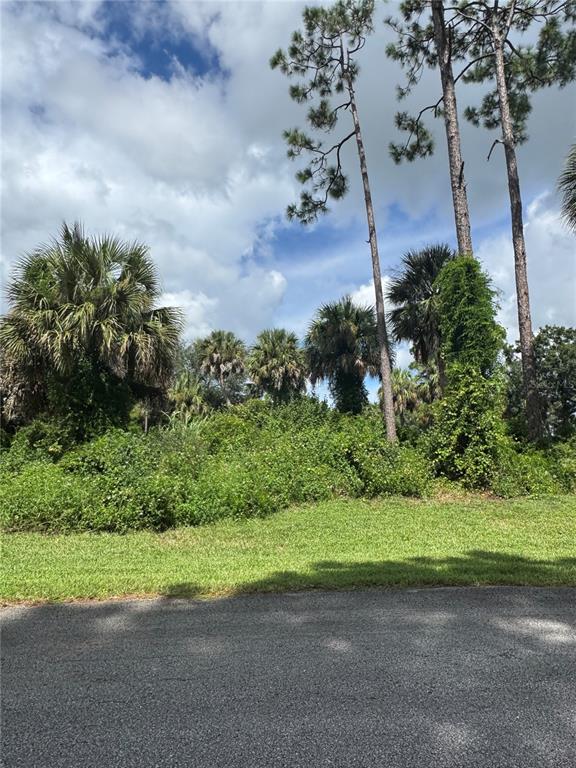 101 Tudor Road Southwest Palm Bay, FL 32908 - Photo 1 of 1 Gallery Image 1