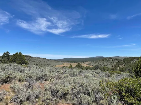 $19,900 | 0 Mahogany Trail, Termo, CA 96119