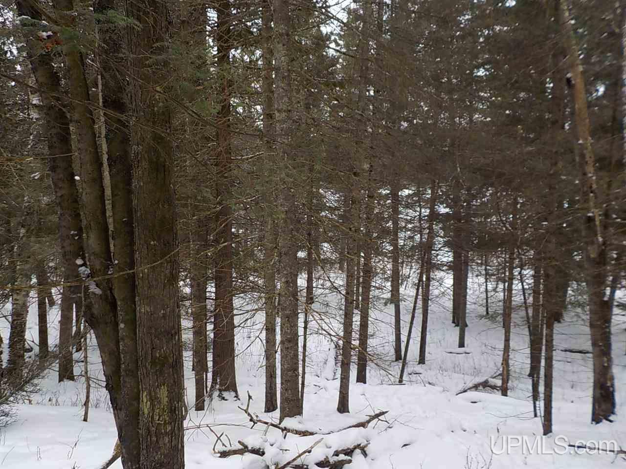 7 Ac /- Rock Crusher Road Crystal Falls, MI 49920 - Photo 6 of 10