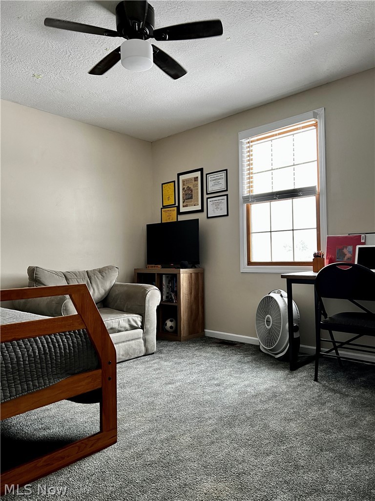 11841 Cook Road Columbiana, OH 44408 - Photo 20 of 35 Gallery Image 20