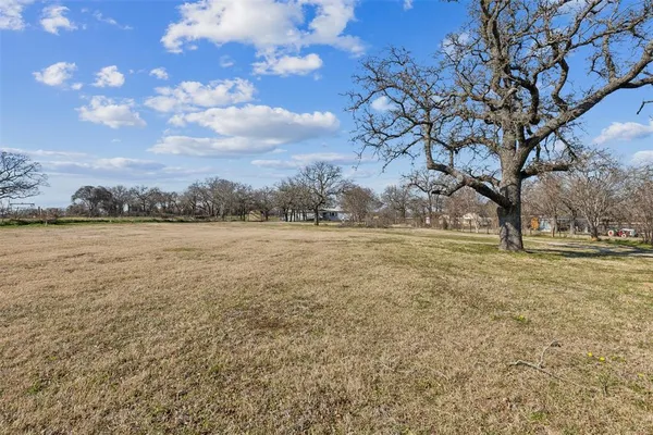 a view of a yard with a tree