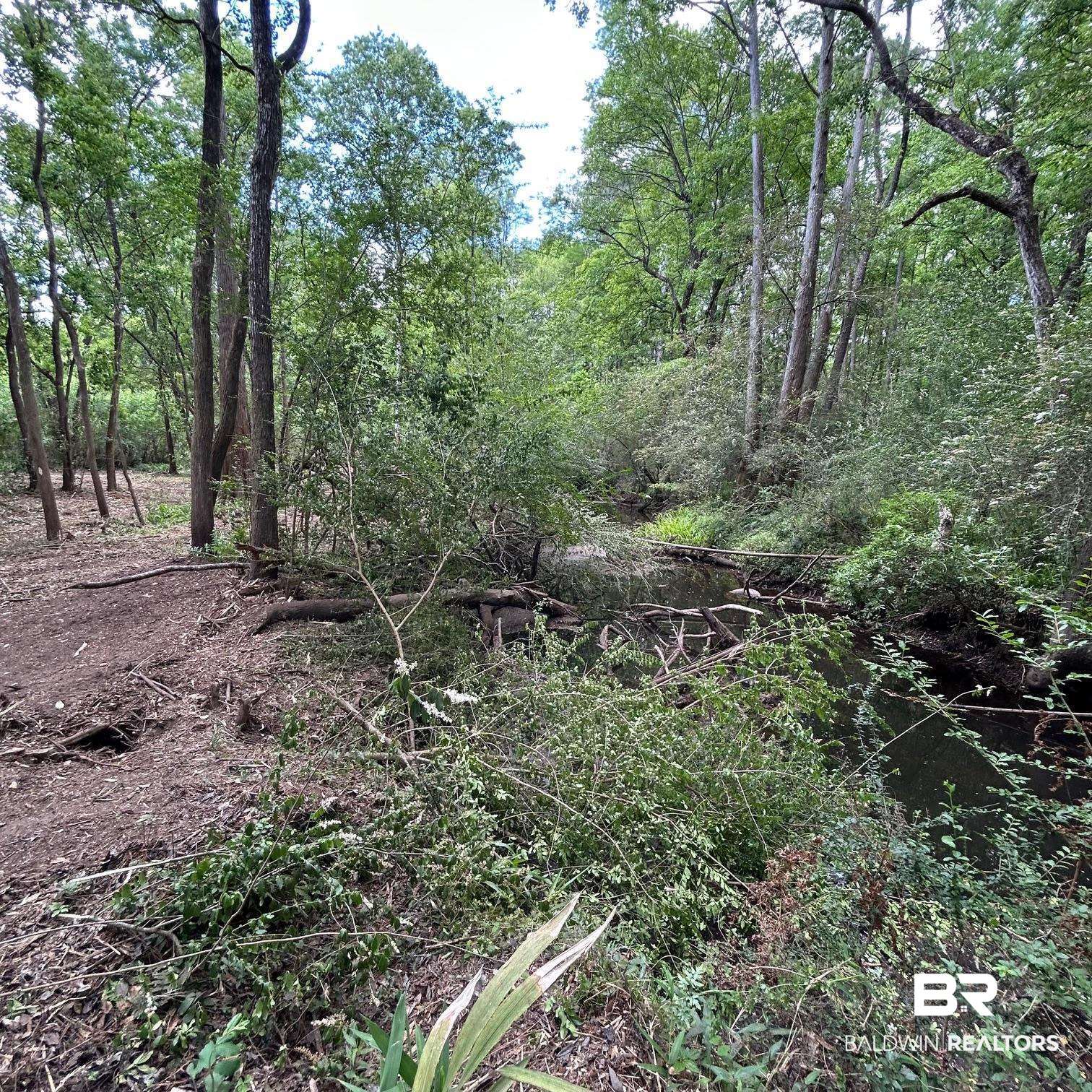 23587 Cowling Road Robertsdale, AL 36567 - Photo 15 of 40 Gallery Image 15