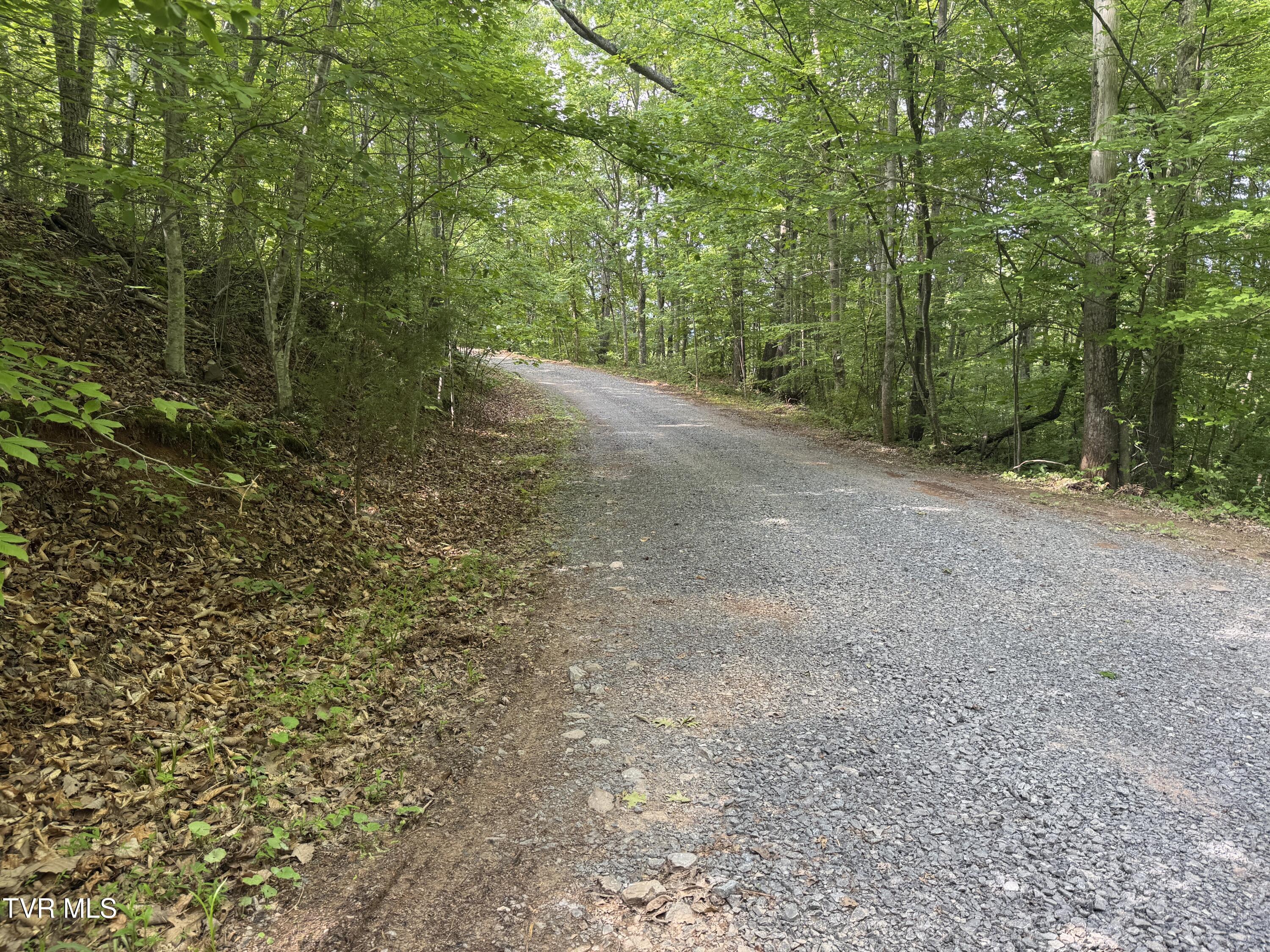 1555 Hamner Hollow Road Big Stone Gap, VA 24219 - Photo 41 of 41 SCENIC VIEW OF PRIVATE DRIVEWAY