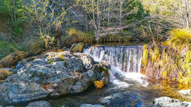 $785,000 | 11081 Van Dorn Reservoir Road, Unit 1, Middletown, CA 95461