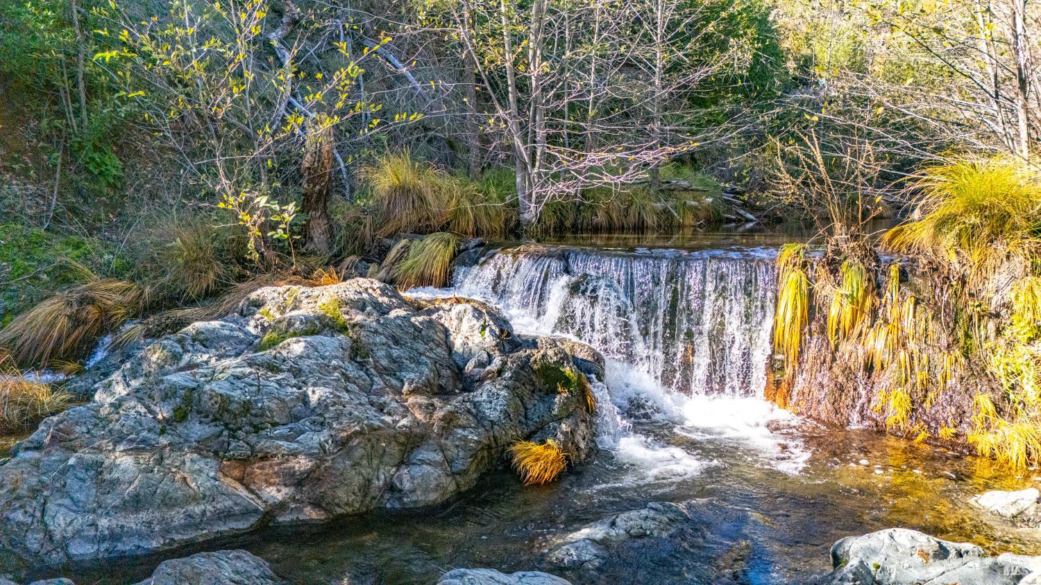 11081 Van Dorn Reservoir Road, Unit 1 Middletown, CA 95461 - Photo 4 of 68 a view of a backyard with plants and large trees