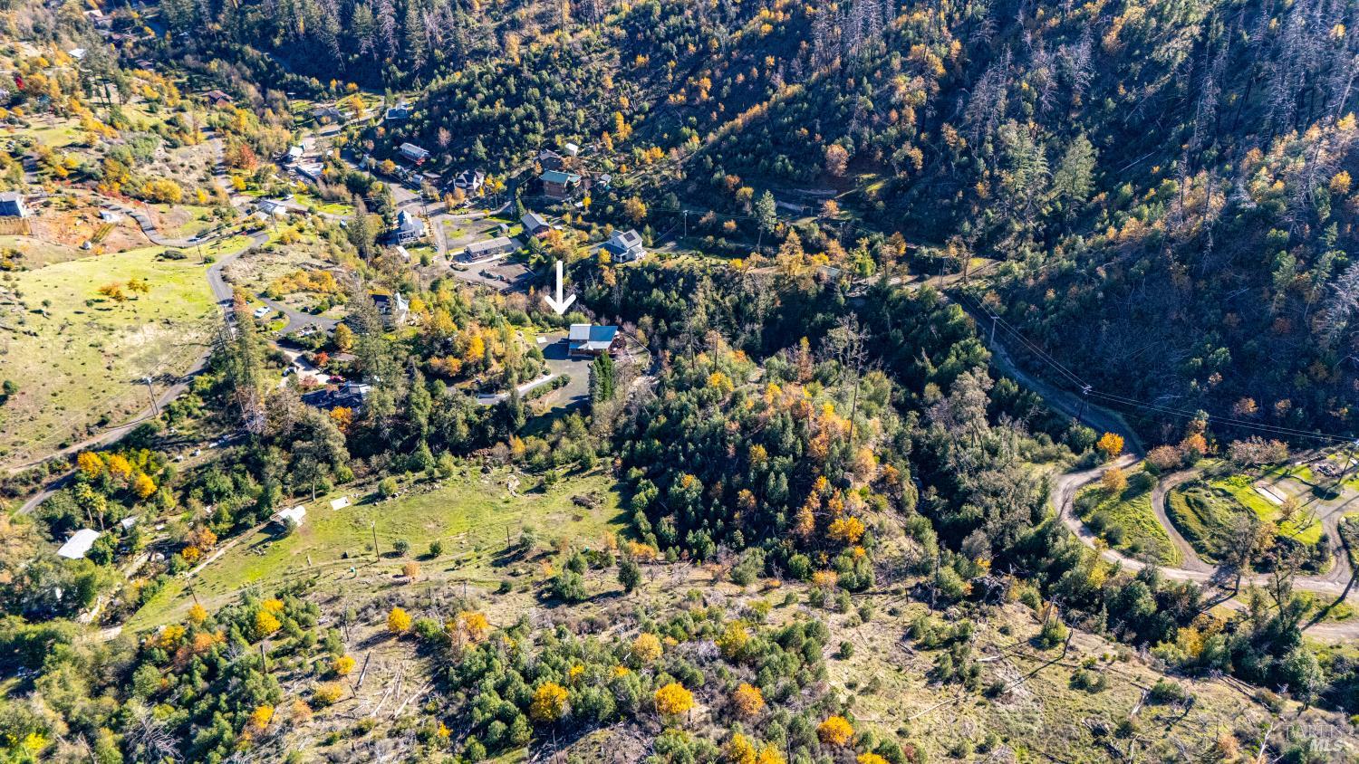 11081 Van Dorn Reservoir Road, Unit 1 Middletown, CA 95461 - Photo 68 of 68 a view of a yard with a tree