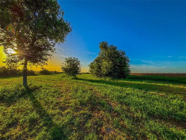 a yard with lake view