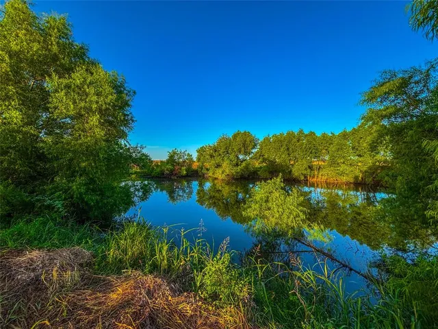 a view of a field with a tree in the background