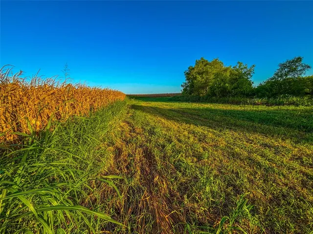 a view of a lake with a big yard
