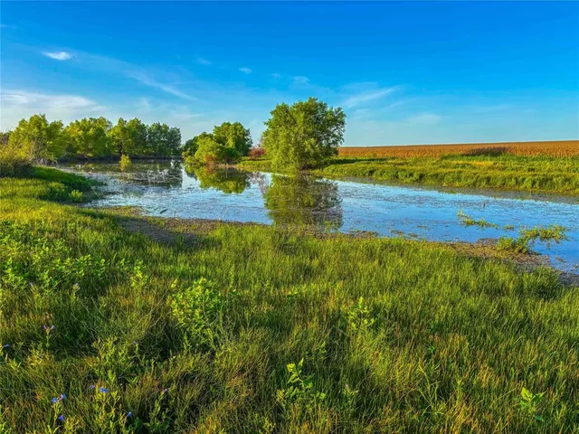 a backyard of a house with lots of plants and trees