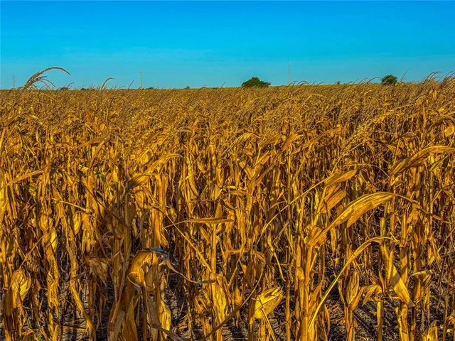 $1,300,000 | Unk Unk Fm-2268, Holland, TX 76534